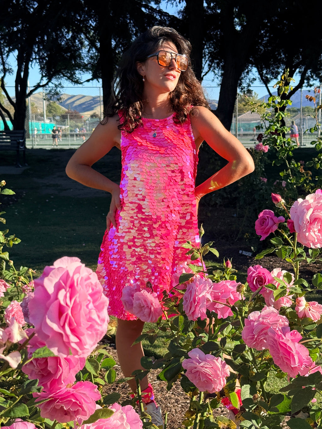 Sequin Dress of Dreams
