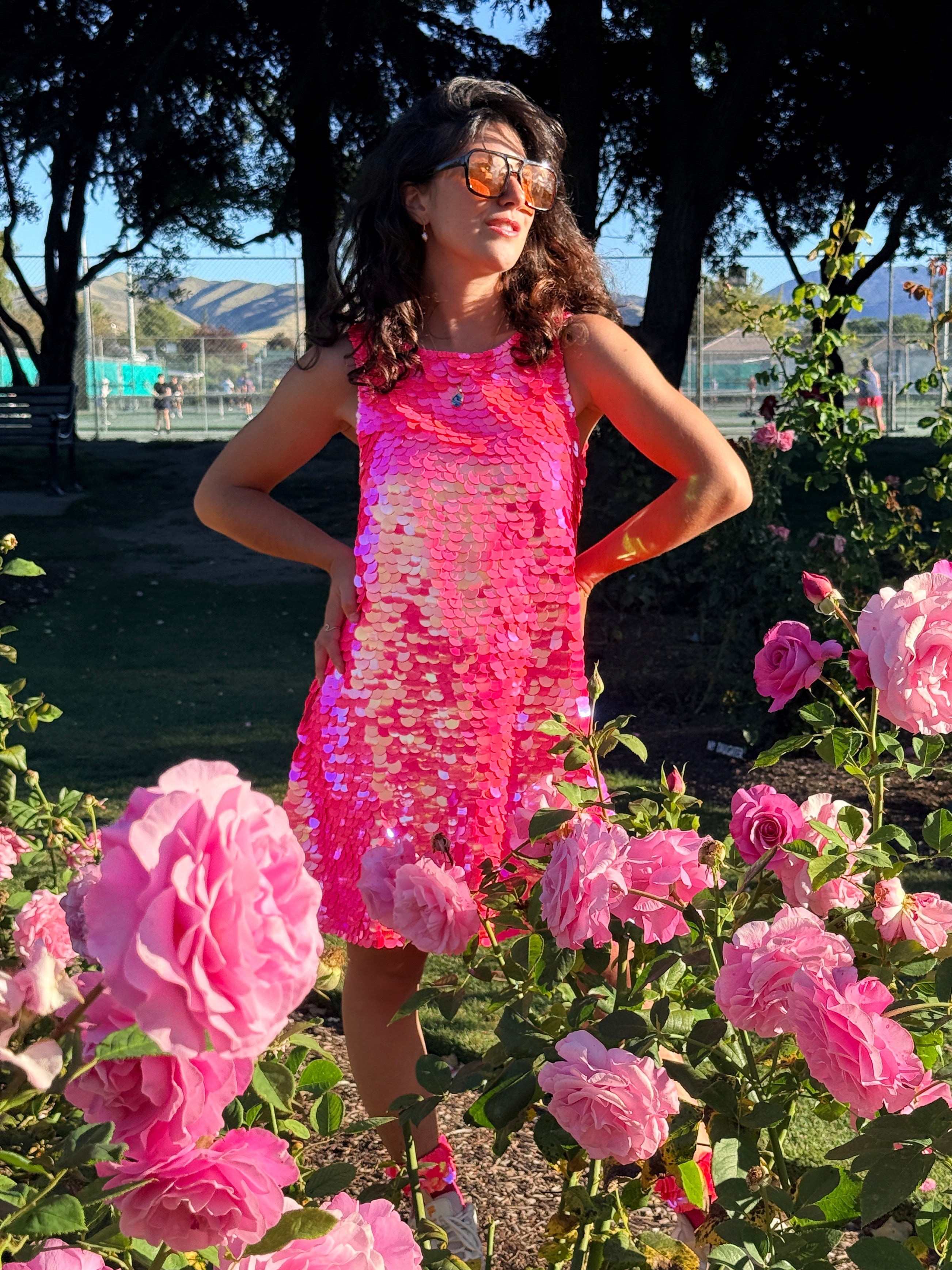 Sequin Dress of Dreams